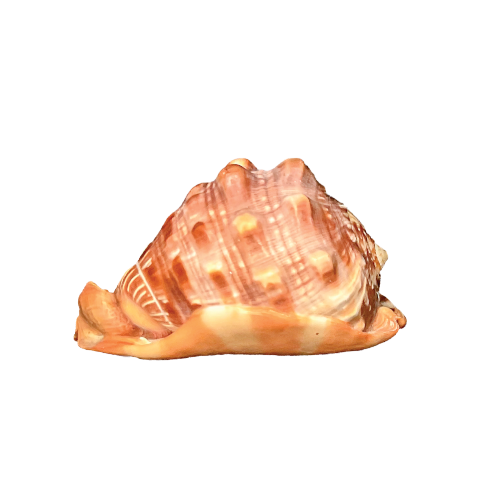 Red Helmet - Image 4