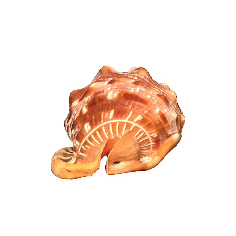 Red Helmet - Image 7