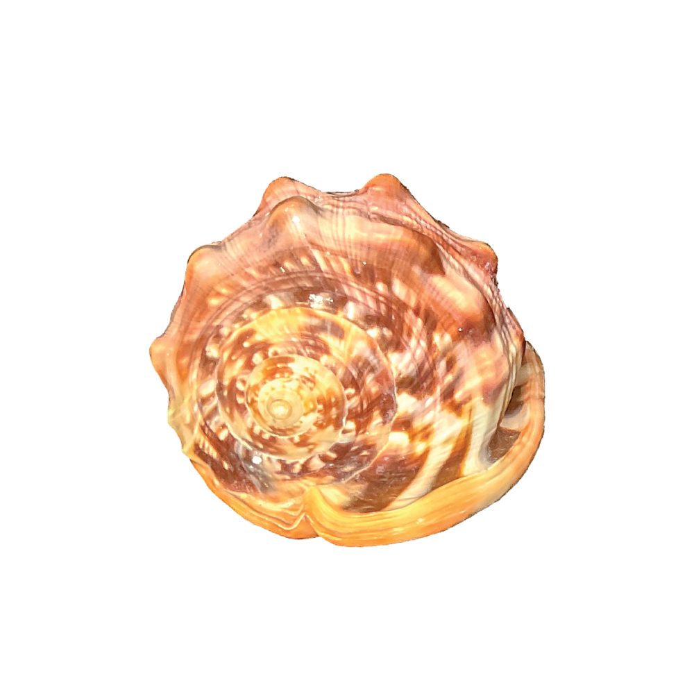 Red Helmet - Image 8