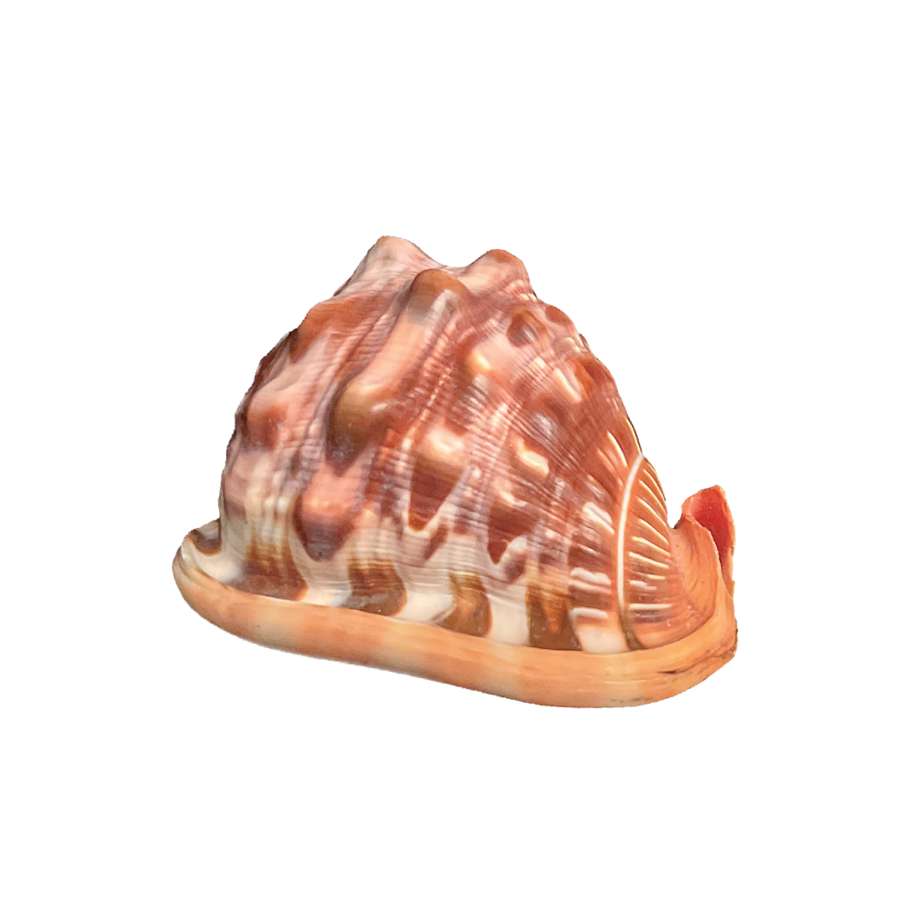 Red Helmet - Image 2